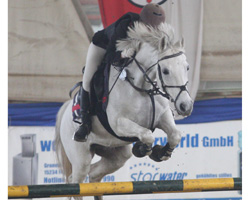 Aila Wirkner (Obermützkow) startete mit Little Gone in der Pony-Trophy und wurde im Finale (Kl. M) Dritte. Foto: KaLo